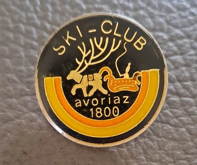 Insigne broche ski esf école  brevet