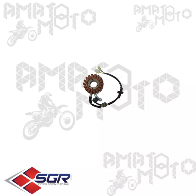 Statore Magnete Volano Sgr 163074 Kymco People S Ie 250 2007 2008 2009 2010 2011