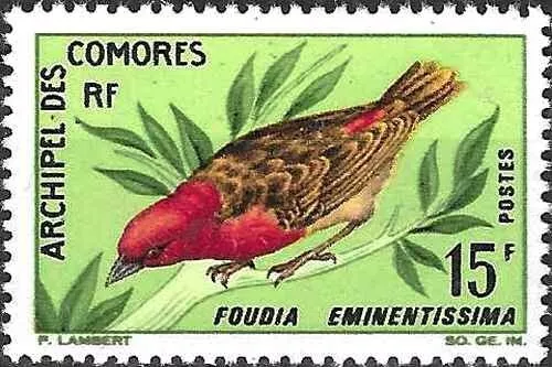 Timbre Oiseaux Comores 43 ** (74041FF)