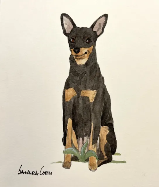Toy Manchester Terrier Original Watercolor by  Sandra Coen Sitting