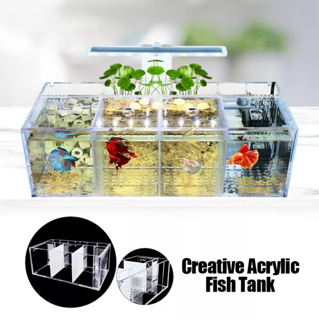 Acrylic Aquarium Fish Tank Breeding Isolation Box Breeder Aquarium Tank Hatchery