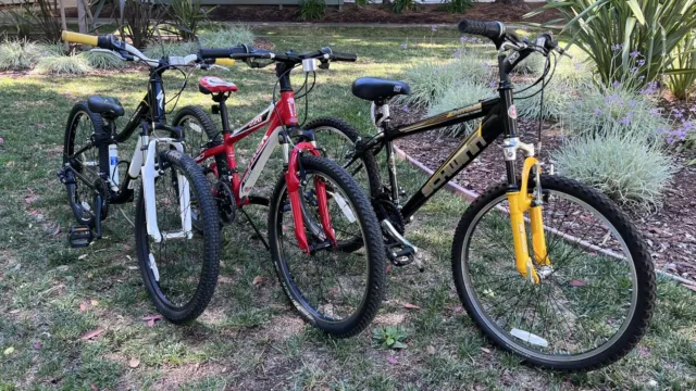 schwinn traverse 24