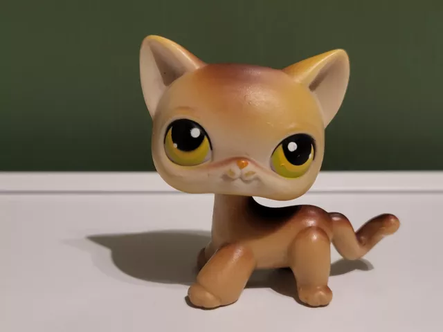 Lps #19 Littlest Petshop Original Authentic Chat Europeen European Cat Hasbro