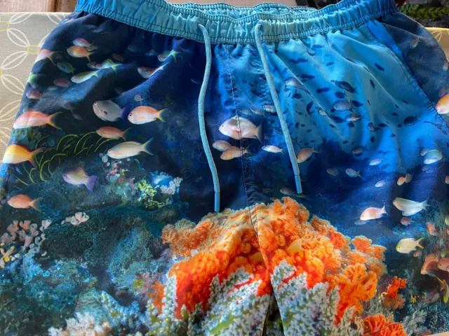Pierre cardin multi coloured swim store shorts mens