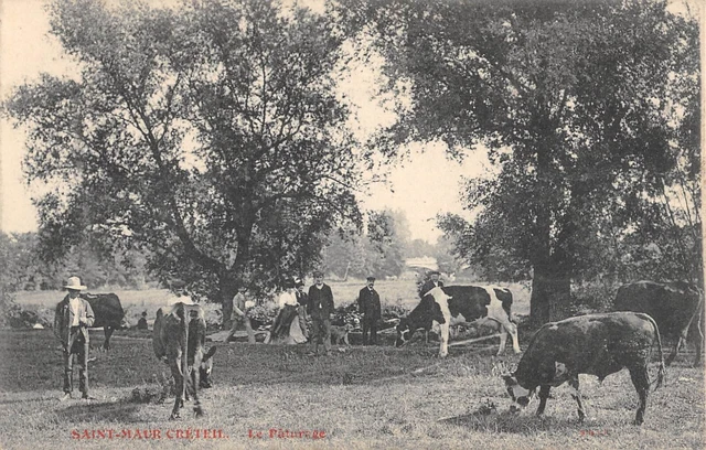 Cpa 94 Saint Maur / Creteil / Le Paturage