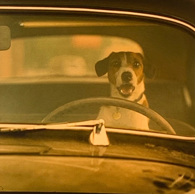 MY DOG SKIP 2000 Kevin Bacon/Frankie Muniz/Diane Lane 35mm TRAILER flat