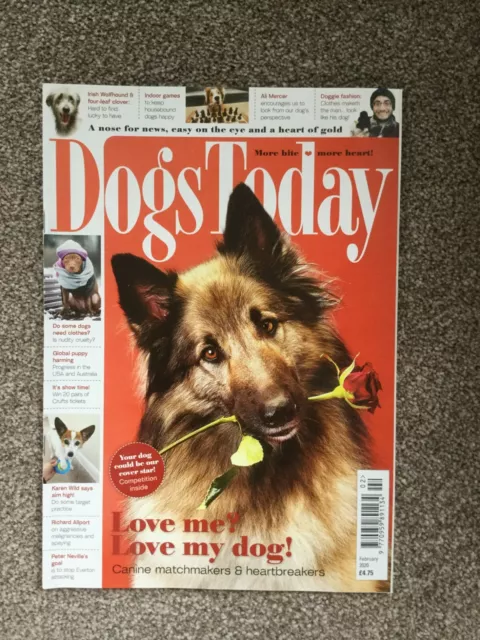 Dogs Today Magazine - February 2020 - Vgc - Free P&P