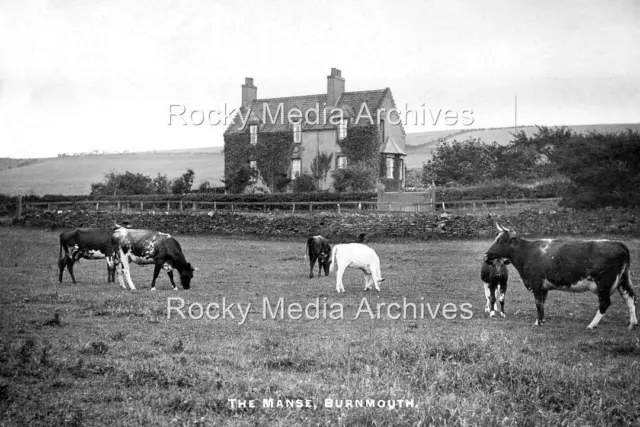 Rrr-100 The Manse, Burnmouth, Berwickshire. Photo