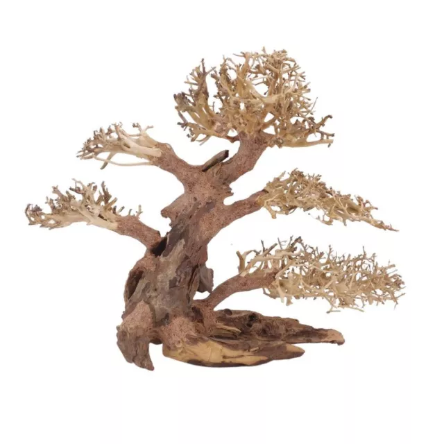 XL Bonsaï Arbre Nr.12070 Racine Bois Aquarium Déco Aquascaping Nature Oriental