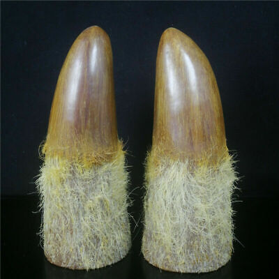 9.45" China old antique Hand carved ox horn tip Statues Collection Ornament Pair