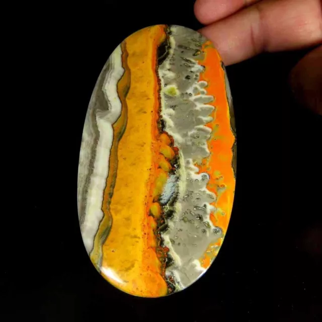 Large~321.10Cts.Natural Bumble Bee Eclipse Jasper Oval Cab 54x100x6mm Gemstone