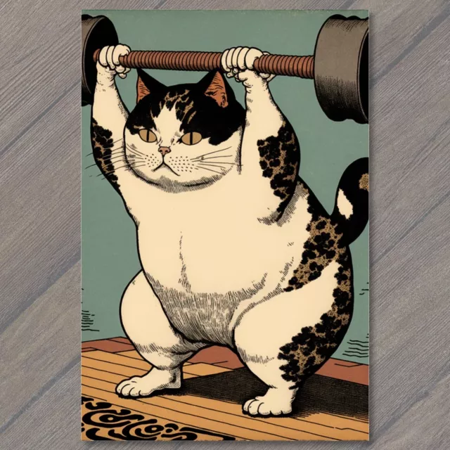 POSTCARD Black and White Cat Lifting a Barbell Paws of Strength! 🖼️