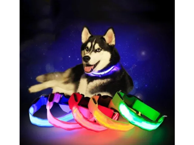 Collare regolabile luminoso a led per cani e gatti