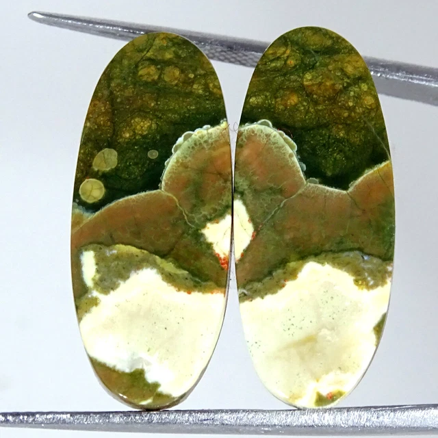 18.50Cts Natürlich Regenwald Jaspis Paar Rhyolite Oval Cabochon Lose Edelsteine