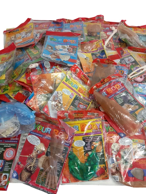 HOW YOUR BODY Works Magazines/ Body Parts Job Lot Bundle £12.99 ...