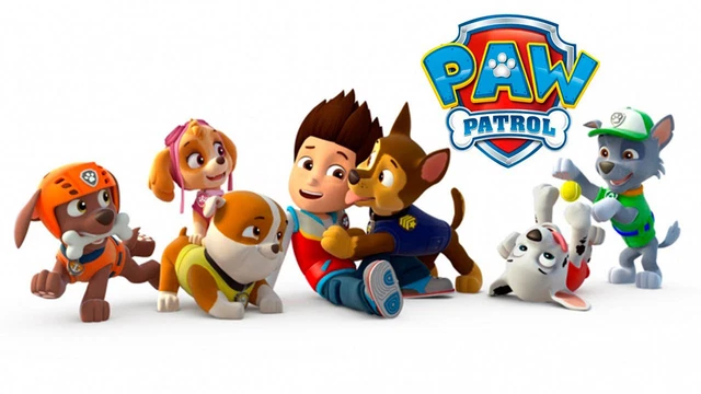 PAW PATROL PUP Walking Talking Music Toy Marshall Skye Chase Rocky