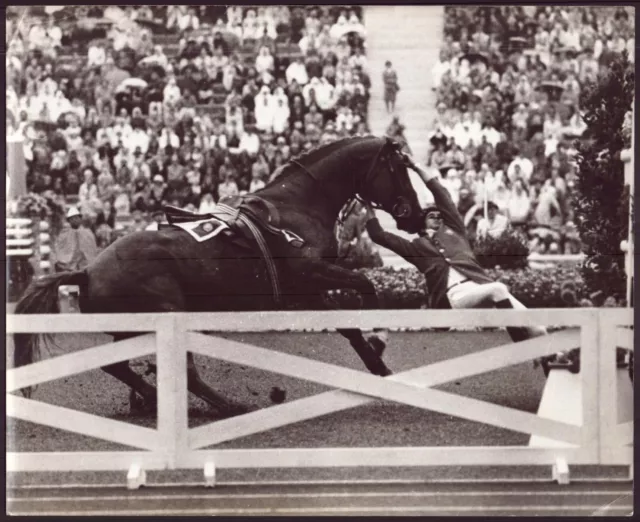 Photo AFP ( 25 x 20,5 cm ) " Munich, 1972, refus du cheval de Caldera "