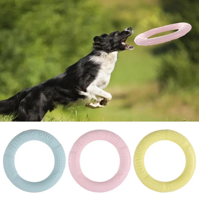 Trainings ring Abzieher Hunde trainings ring Haustier-Spielzeug Biss ring