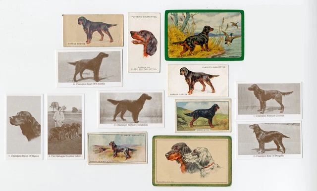 Gordon Setter Collection Of Vintage Dog Cigarette Trade & Playing Cards