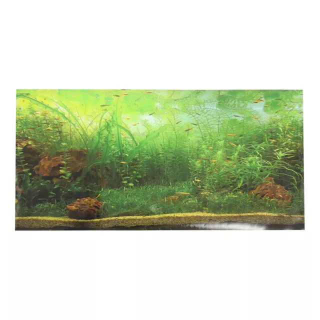 Décalque De Réservoir Poissons Autocollant Imperméable Aquarium Décorations