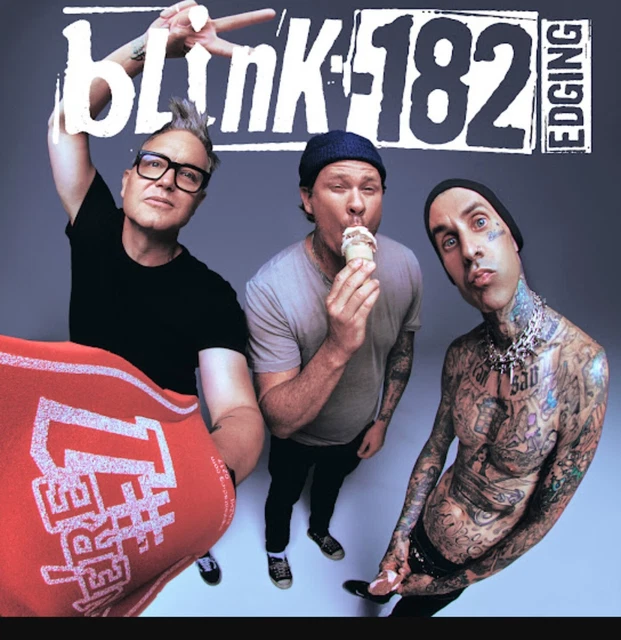 N°1 Biglietto concerto Blink-182 UNIPOL Arena (BO) 6/10