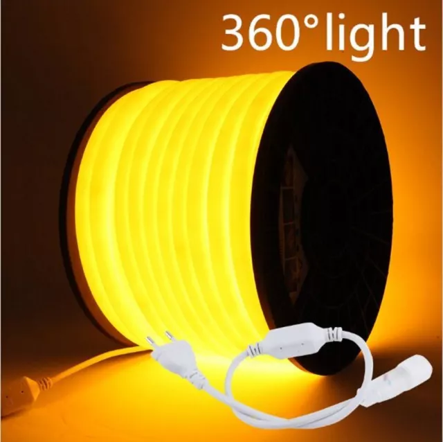 360 Grados Brillo Flexible Cuerda de Neón Cuerda de Luz 220V 2835 Lámpara Impermeable