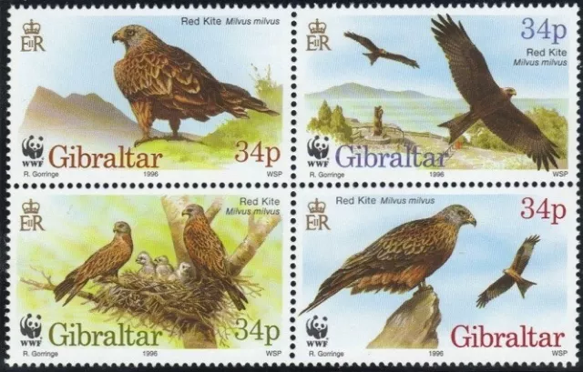 Gibraltar 1996 montado 4 V negro, WWF, cometa roja, aves de presa