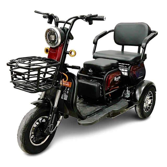 Eroute ST-05 triciclo elettrico - auto per anziani scooter elettrico