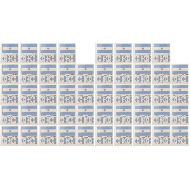 48 SHEETS SPORTS fan Temporary Tattoo Tatouage Drapeau National