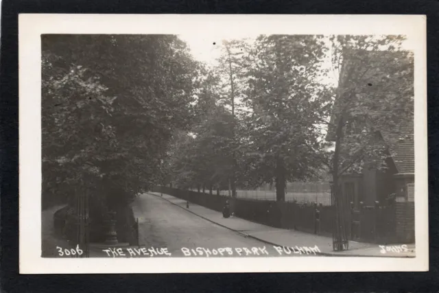 Postcard Fulham nr Hammersmith London the Avenue in Bishops Park RP Johns 3006