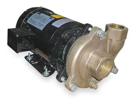 Dayton 2Zwt5 Bronze/Brass 2 Hp Centrifugal Pump 208-230/460V