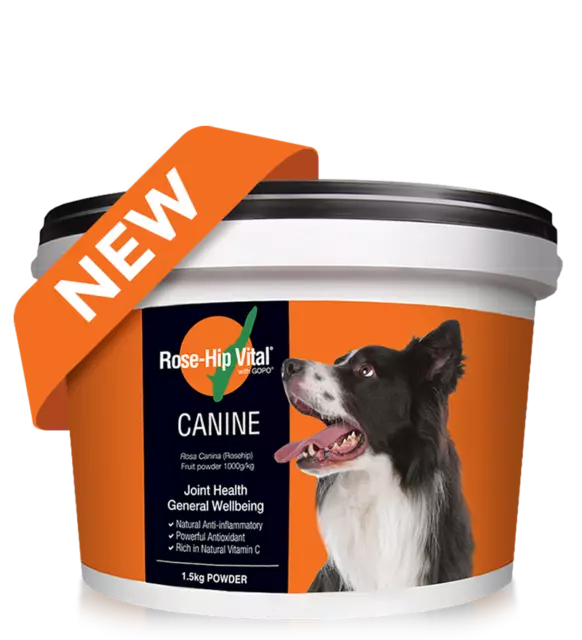 Rose-Hip Vital Canine Powder 1.5 kg Rose Hip Joint Health FAST SHIPPING