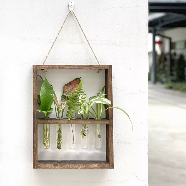 Hanging Tube Planter Flower Glass Vases With Wooden Stand 6 Glass Tube