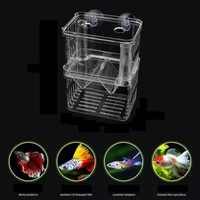 Aquarium Breeding Box Incubator Small Fish Hatchery Acrylic Divider for Shrimp