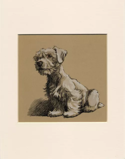 Sealyham Terrier Seated Dog Lovely 1930'S Cecil Aldin Dog Art Print Mounted