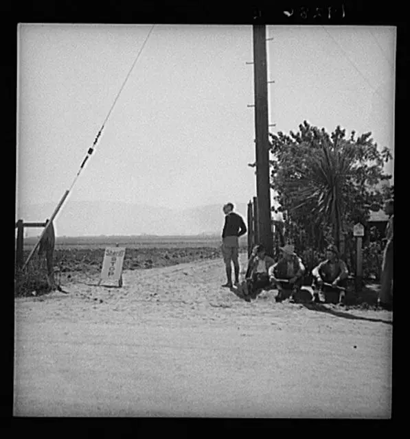 Salinas Valley,California,CA,Monterey County,Farm Security Administration,FSA