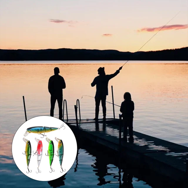 ENSEMBLE D'APPÂTS D'ALIMENTATION de pêche à la carpe essentiels pour