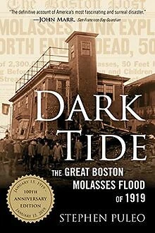 Dark Tide: The Great Boston Molasses Flood of 1919 ... | Buch | Zustand sehr gut