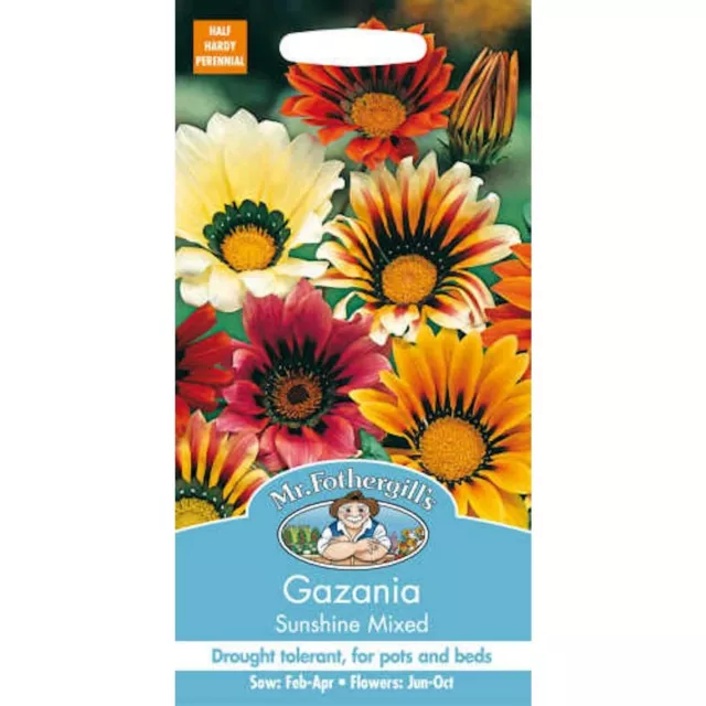 Mr Fothergill's Gazania sunshine Mixed  seeds    25 Seeds Sow Before 2027