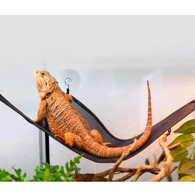 Bearded Dragon Hammock Reptile Lounger for , , Gecko 2-pack