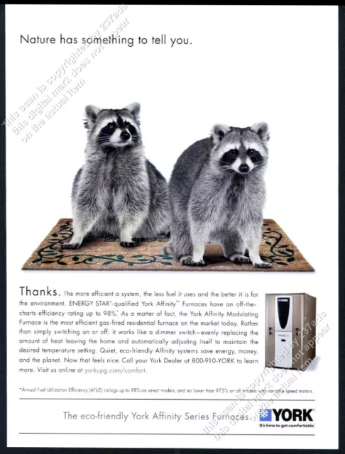 2010 raccoon pair CUTE photo York furnace vintage print ad