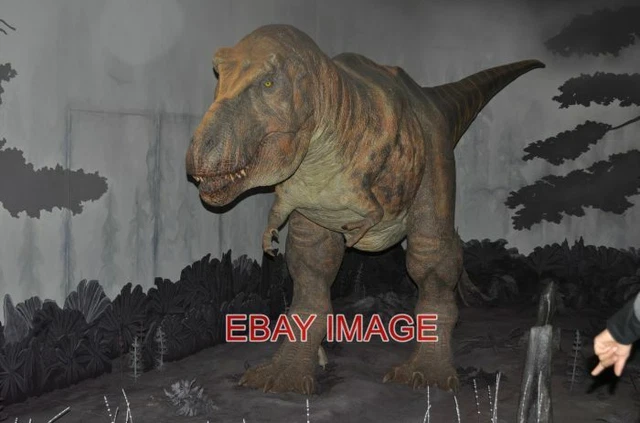 Photo  London Natural History Museum Trex Moving Roaring Model Of A T. Rex In Th