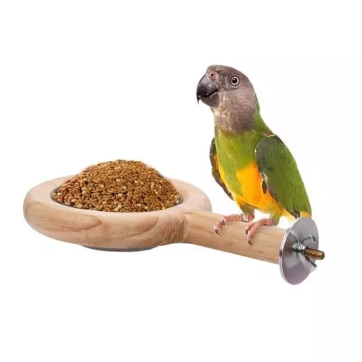 Bird Perch with Bird Feeding Cup, Parrot Wood Perch Tree Bird Perch Stand,