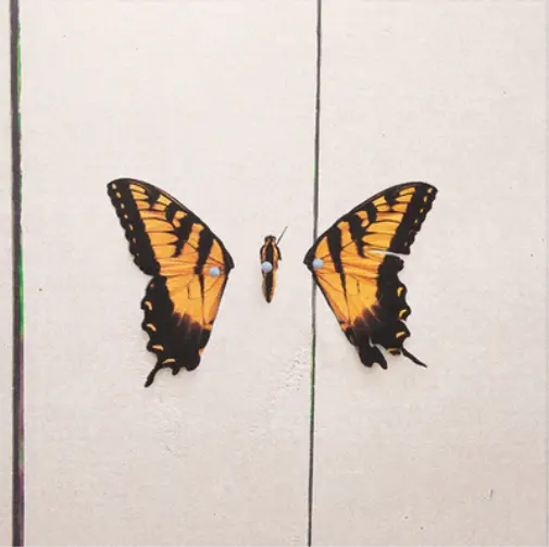  Paramore Brand New Eyes Butterfly Shadow Box: CDs y Vinilo
