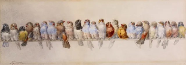 A Perch of Birds : Hector Giacomelli : 1880 : Archival Quality Art Print