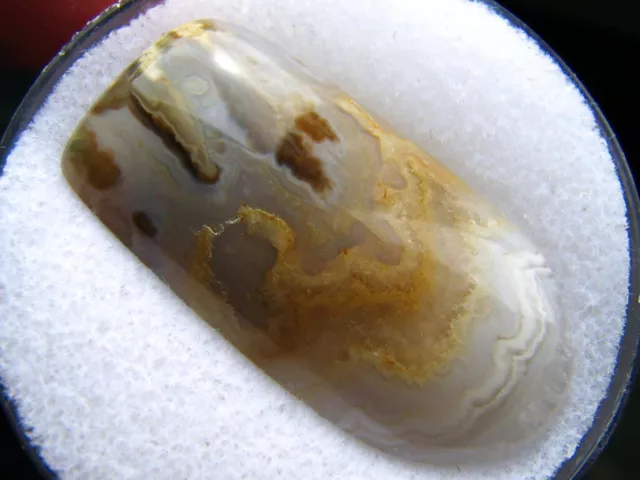 Prudent Man Plume Agate Cabochon: Pretty Scene with Nice Colors; 24.1 cts; Idaho