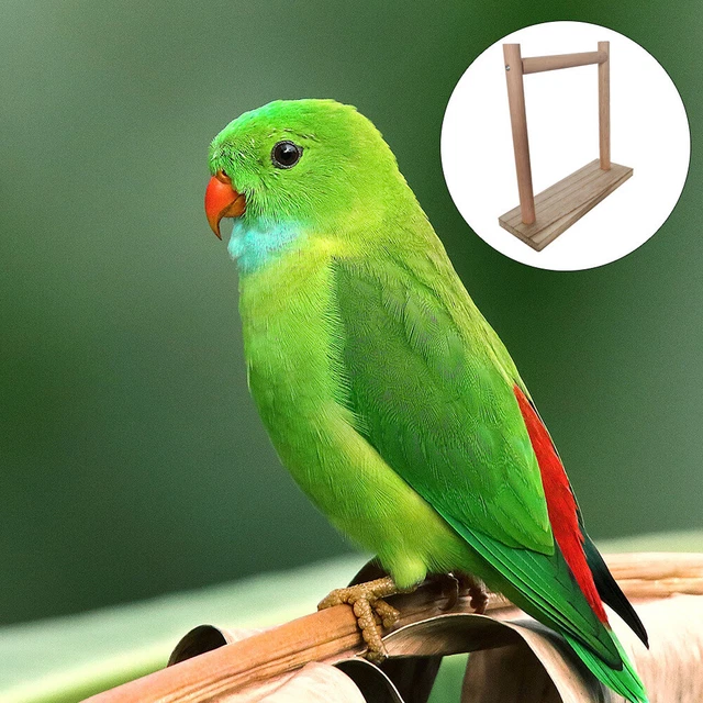 Bird Perch Parakeet Toys Game Stand Birds Toys Parakeets Cage Accessories