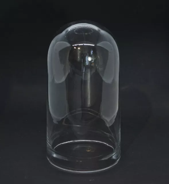 Cúpula de Cristal - Campana de Cristal, 19 Siglo, 21CM (#14196)