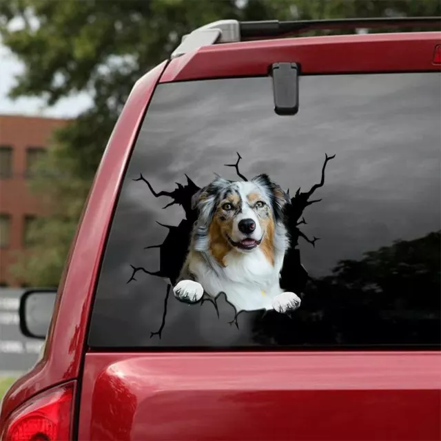 Australian Shepherd decal,pet car decoration,cute dog sticker,Vinyl decal,animal