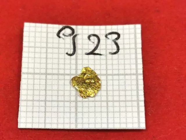 Goldnugget Alaska Yukon Goldnuggets #923 Goldbarren Münze Coin Złoto